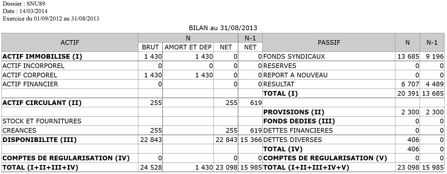 Publication des comptes de la section  SNUipp 89